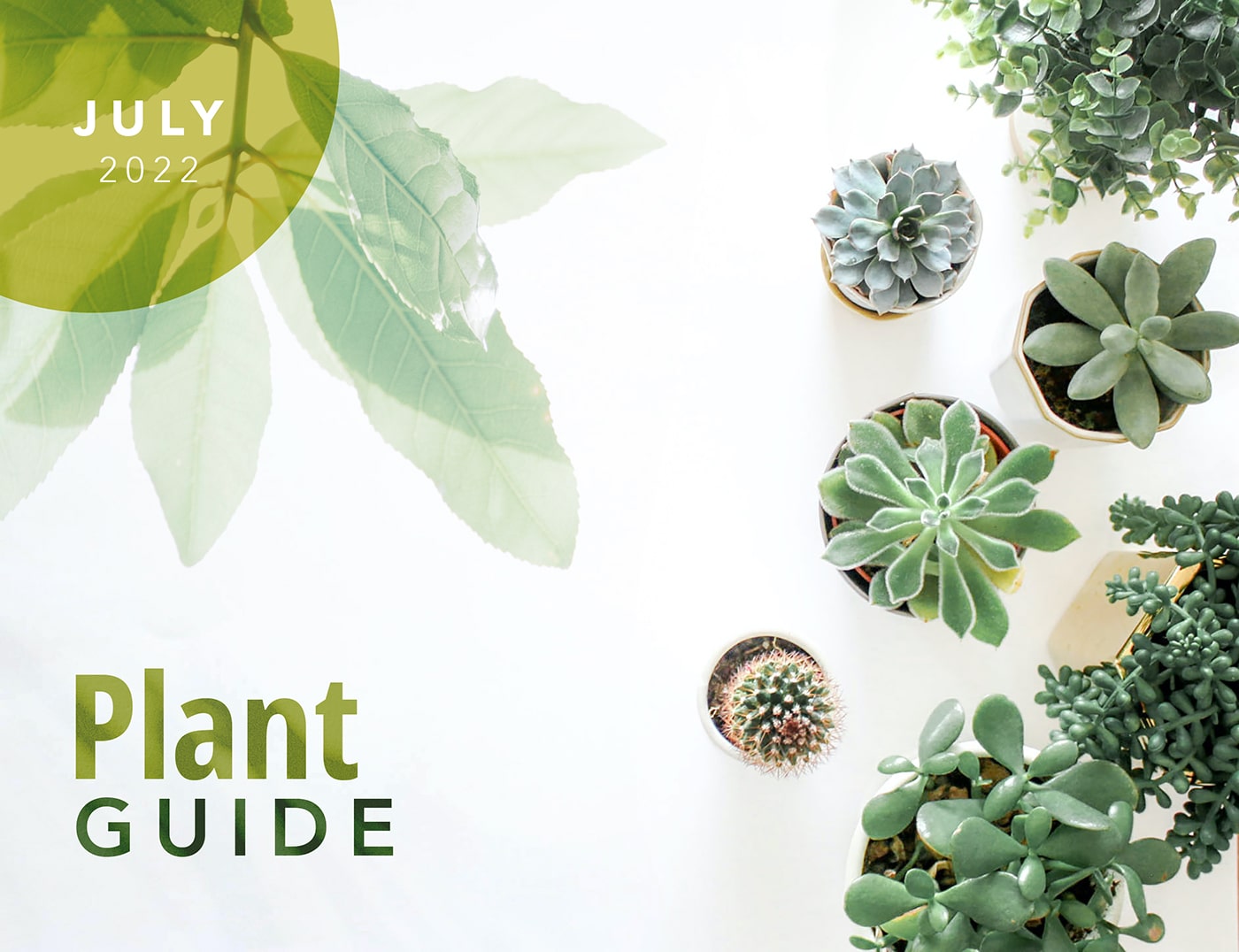 Plant guide cover for July 2022 with various plants displaying.